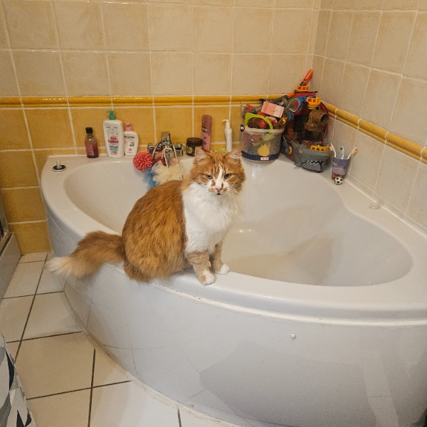 Photo du logement