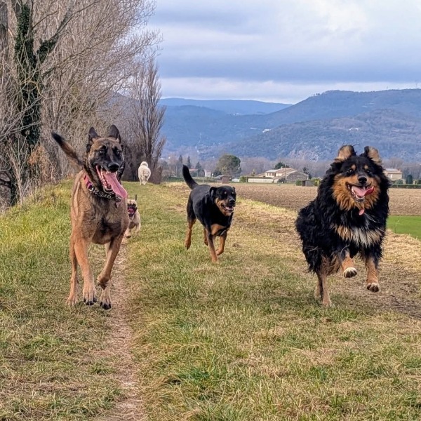 Photo du logement