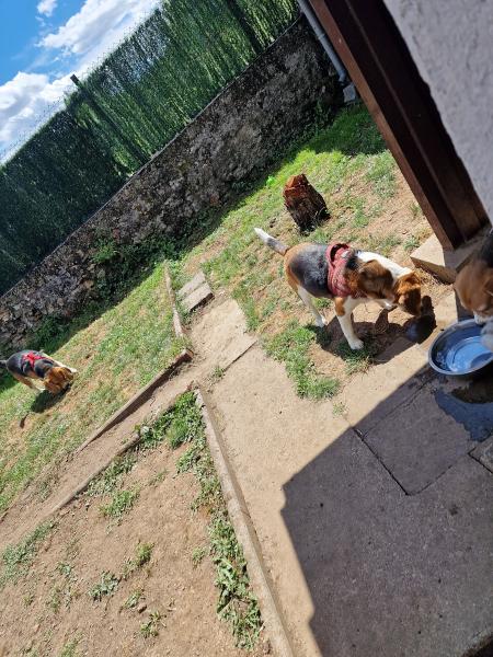 Photo du logement