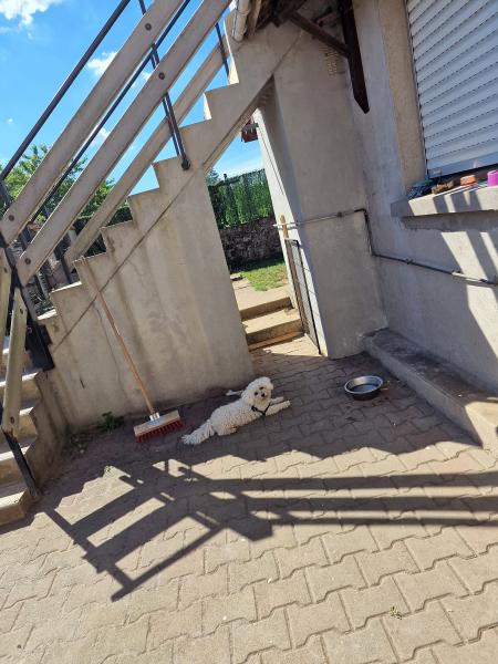 Photo du logement
