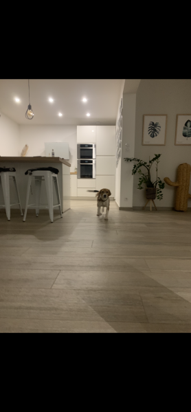 Photo du logement