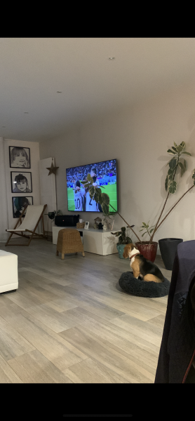 Photo du logement