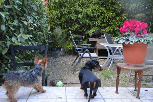 Photo du logement