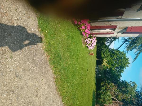 Photo du logement