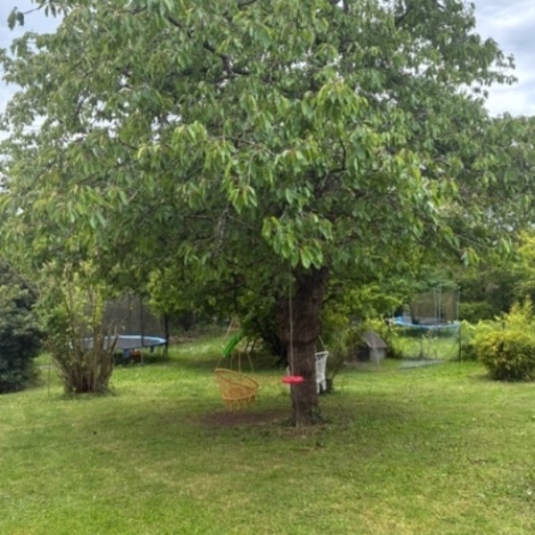 Photo du logement