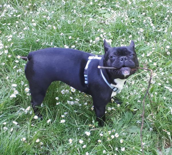 Photo du logement