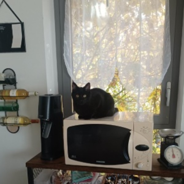 Photo du logement