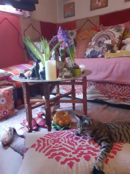 Photo du logement