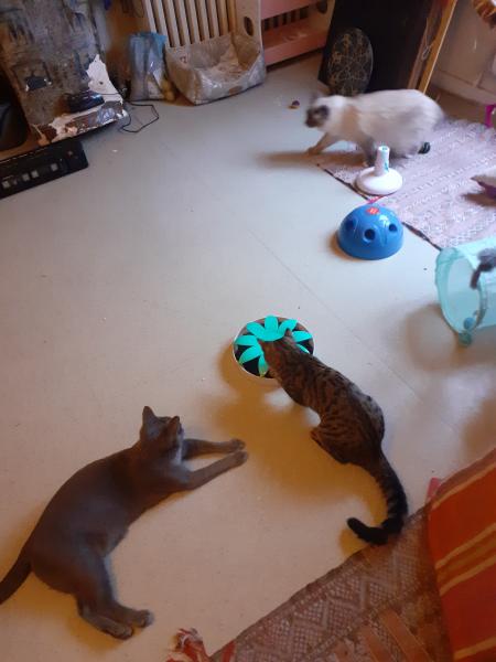 Photo du logement