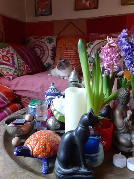 Photo du logement