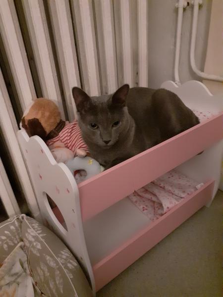 Photo du logement