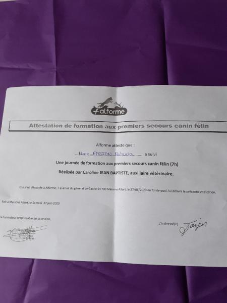 Photo du logement