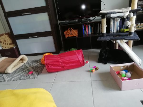 Photo du logement
