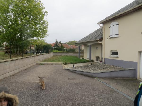 Photo du logement