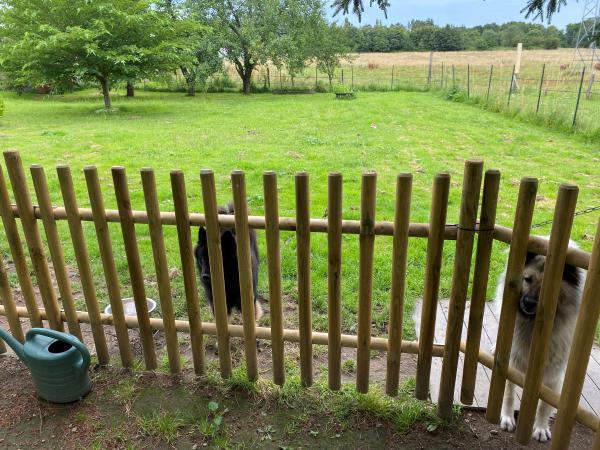 Photo du logement