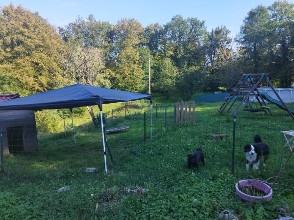 Photo du logement