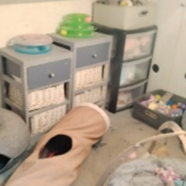 Photo du logement