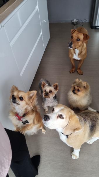 Photo du logement
