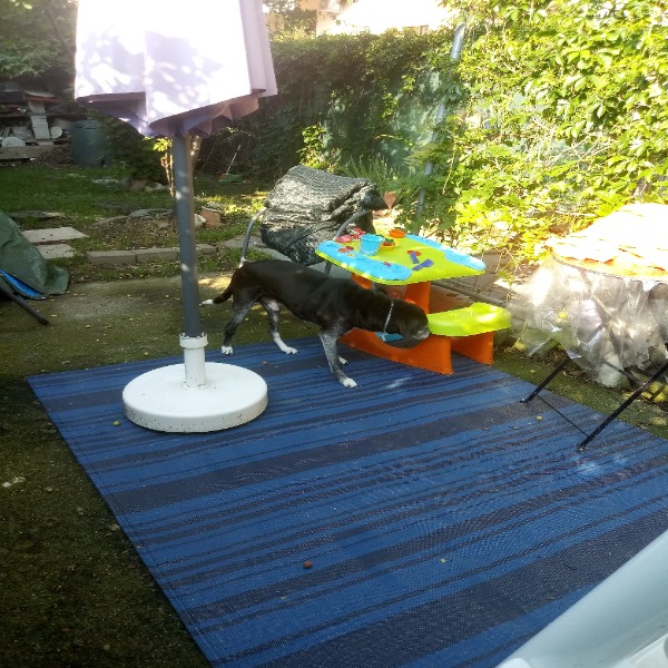 Photo du logement