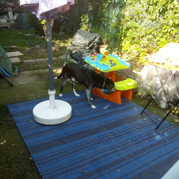 Photo du logement
