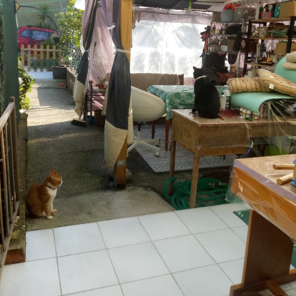 Photo du logement
