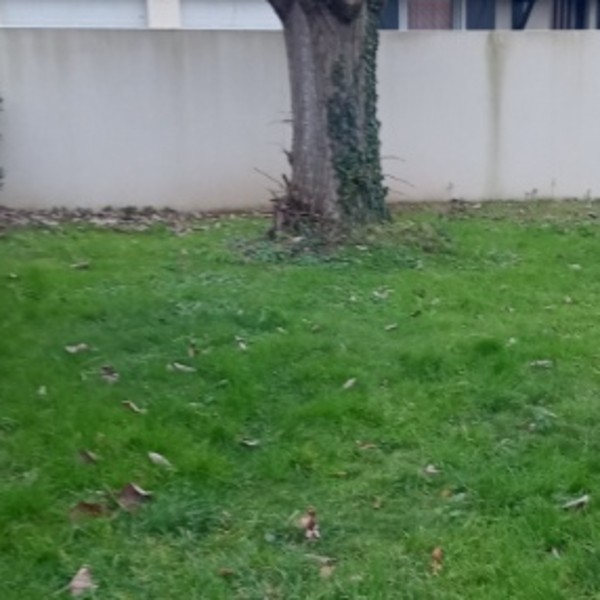Photo du logement