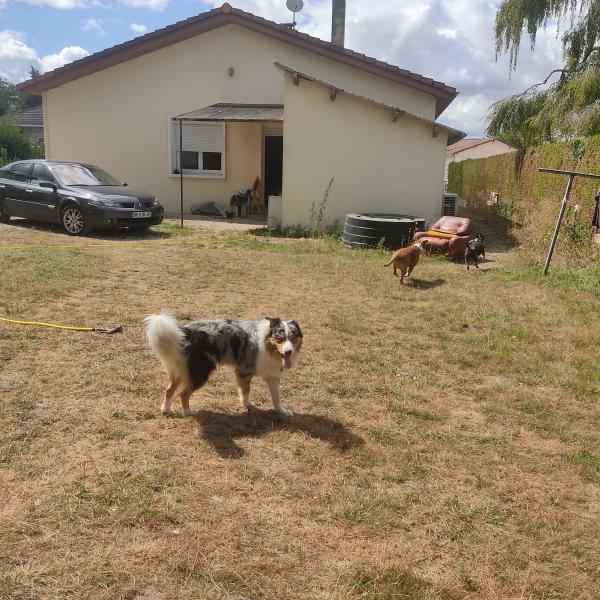 Photo du logement