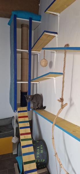 Photo du logement
