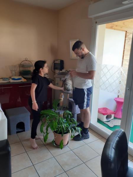 Photo du logement
