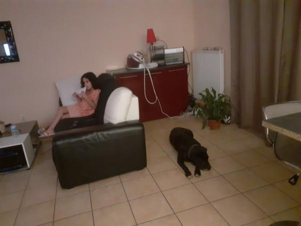 Photo du logement