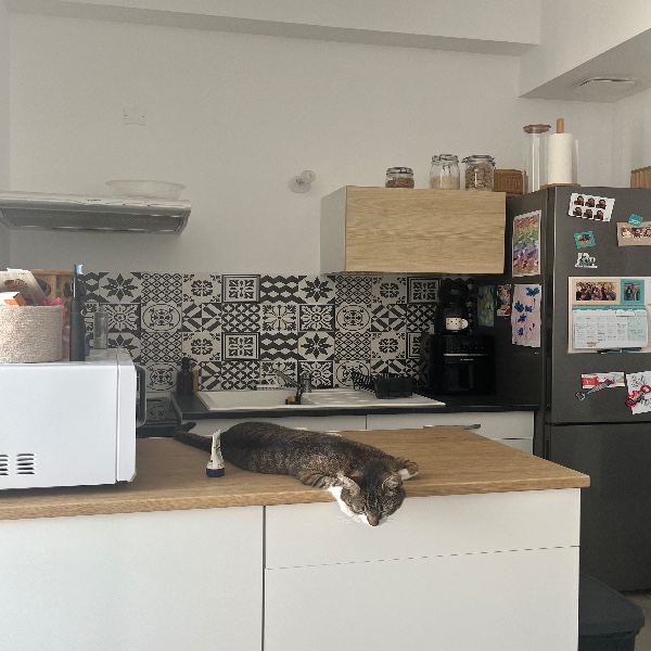 Photo du logement