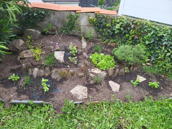 Photo du logement
