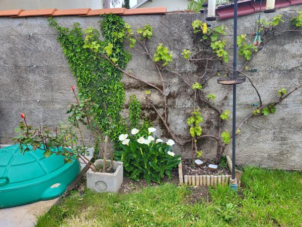 Photo du logement