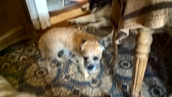 Photo du logement
