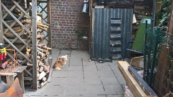 Photo du logement