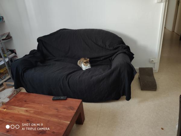 Photo du logement