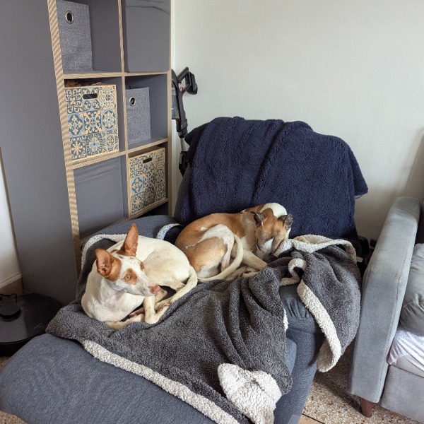 Photo du logement