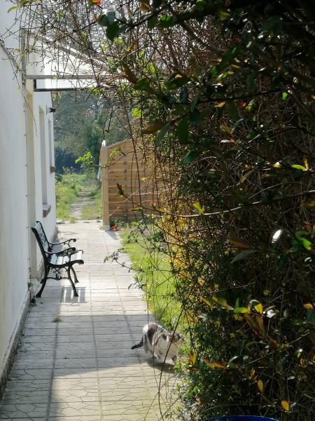 Photo du logement