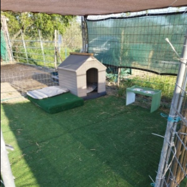Photo du logement