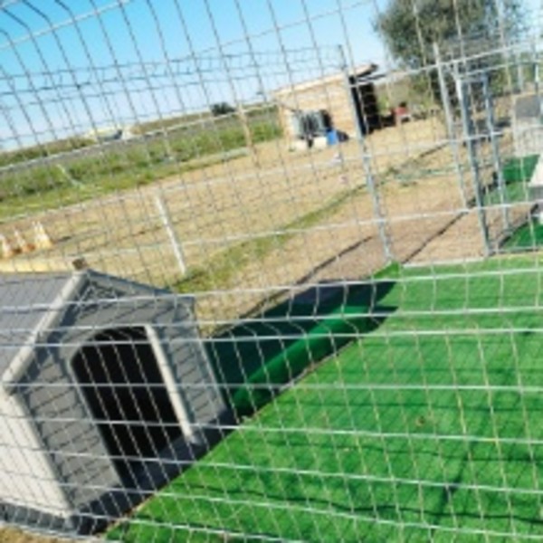 Photo du logement