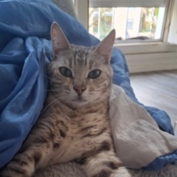 Audrey