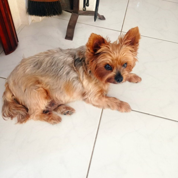 Esther
