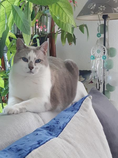 Clara