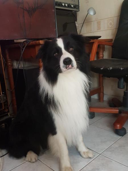 Charly