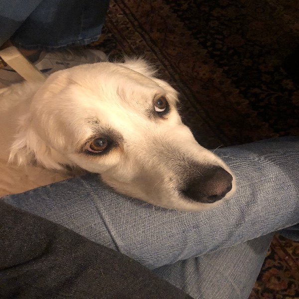 Julie