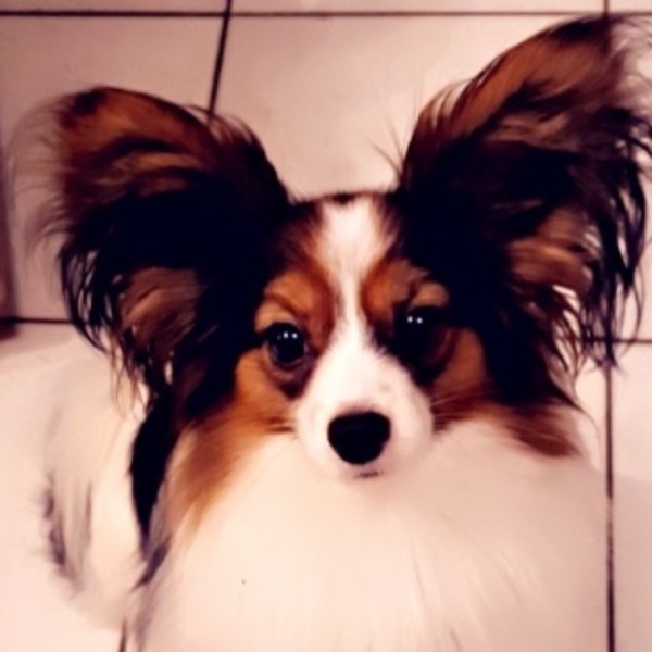 Christelle