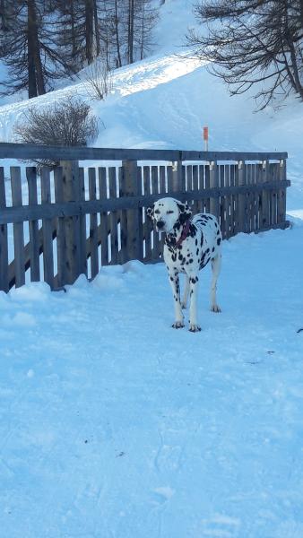 Geoffrey