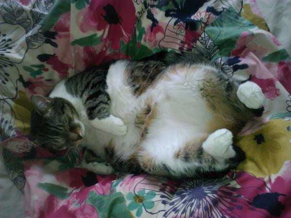 Martine