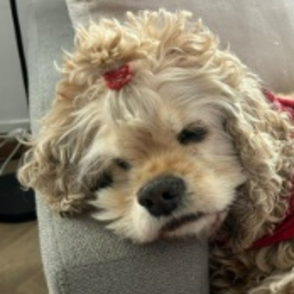 muriel