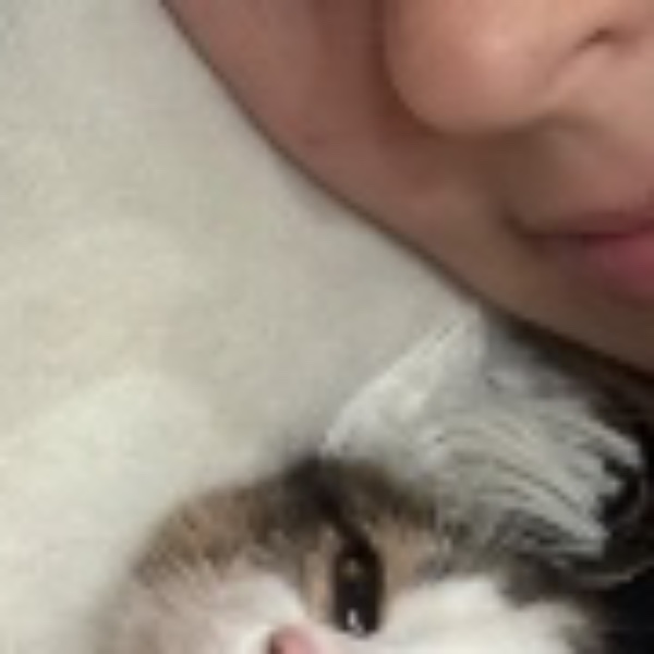 Anissa